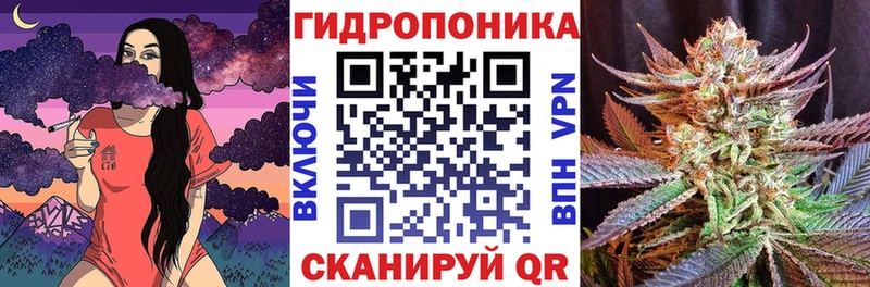 Что такое Ивантеевка Каннабис МЕФ A PVP Галлюциногенные грибы ГАШ