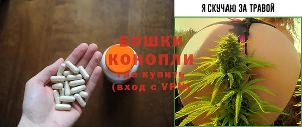 шишки Дмитров