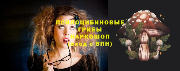 шишки Дмитров