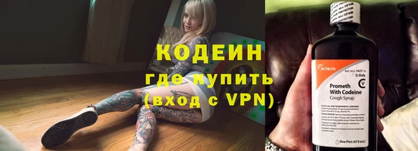 шишки Дмитров