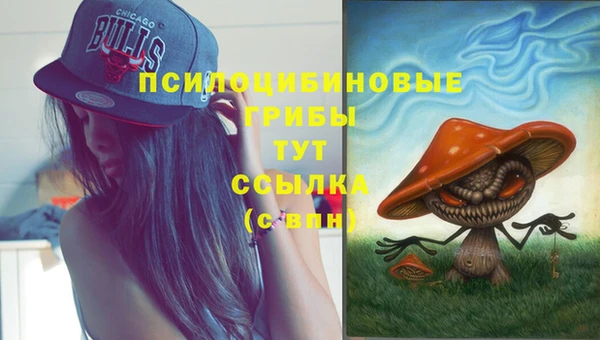 ГАЛЛЮЦИНОГЕННЫЕ ГРИБЫ Дмитровск