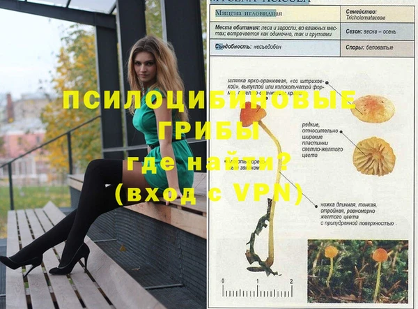 ГАЛЛЮЦИНОГЕННЫЕ ГРИБЫ Дмитровск