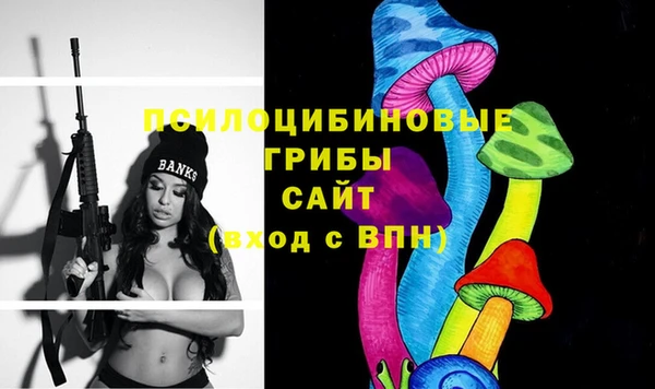 шишки Дмитров